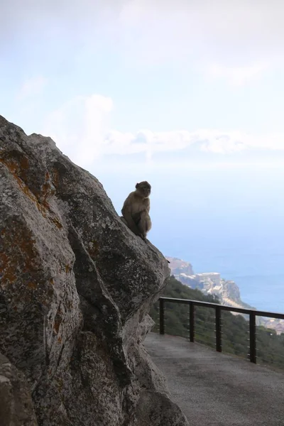 Gibraltar Półwysep Andaluzji — Zdjęcie stockowe