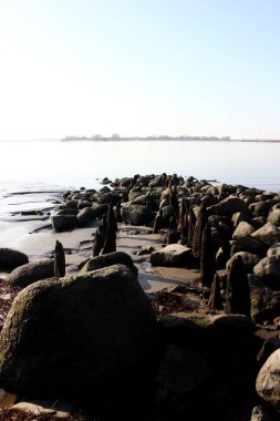 Düşük Tide River Elbe