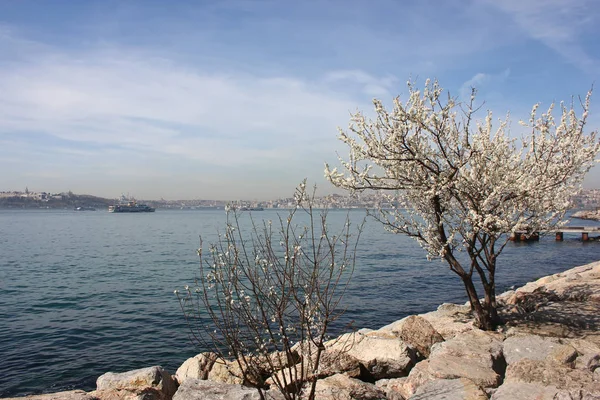 Stanbul Prens Adası — Stok fotoğraf