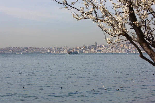 Prince Island Στην Κωνσταντινούπολη — Φωτογραφία Αρχείου