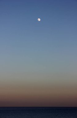 Büyük Kanarya, Playa del Ingles