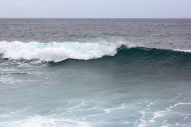 Puerto de las Nieves