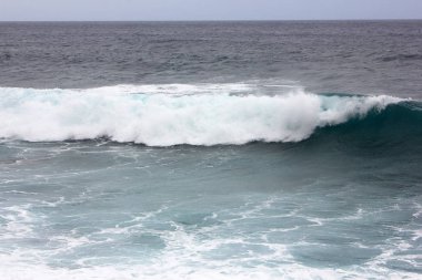 Puerto de las Nieves