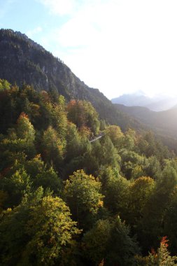 Neuschwanstein Kalesinden Görünüm