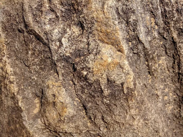 Textura de roca en la playa — Foto de Stock
