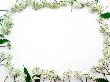 beyaz arka plan daki beyaz renklerin çerçevesi