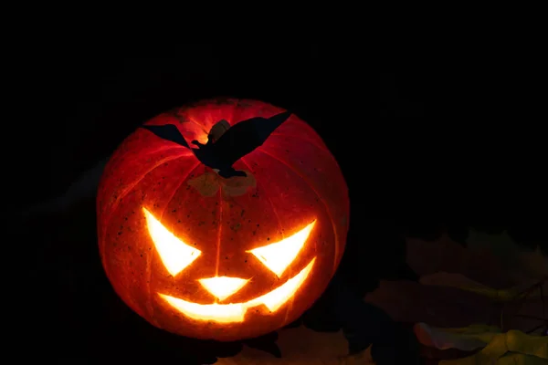 Calabaza de Halloween en un bosque místico por la noche — Foto de Stock