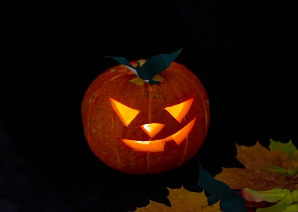 Linterna de calabaza de Halloween con hojas secas con fondo negro — Foto de Stock