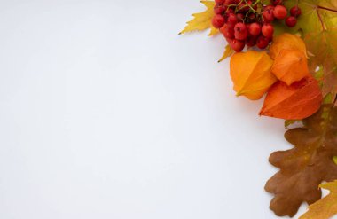 Sonbahar kompozisyon. Çerçeve kurutulmuş çiçekleri ve sonbahar yaprakları yapılmış. Üstten Görünüm, düz yatıyordu