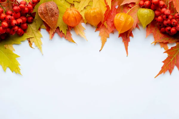 Pile of autumn colored leaves isolated on white background.A heap of different maple dry leaf .Red and colorful foliage colors in the fall season.