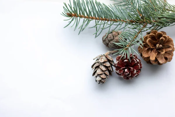 Ramas de abeto nevado. Marco de Navidad y lugar para el texto —  Fotos de Stock