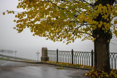 Sabahın erken saatlerinde nehirde sis ve su yüzeyi.