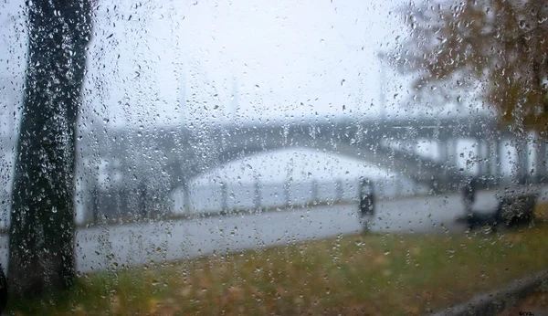 Día lluvioso con vista al camino a través de la ventana del coche con gotas de lluvia, solo — Foto de Stock