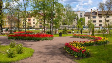Renkli Lale çiçek ve yol bir bahar resmi Bahçe ile.