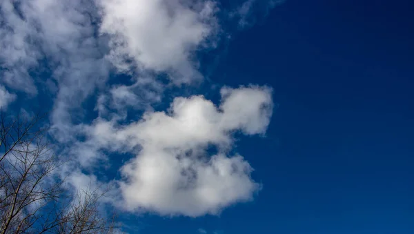 Bellissimo Cielo Blu Con Nuvole Bianche Tempo Primaverile Spazio Testo — Foto Stock