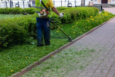 Adam çimleri benzin tırpanıyla biçiyor.