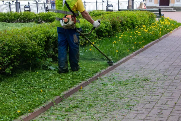 Adam çimleri benzin tırpanıyla biçiyor.