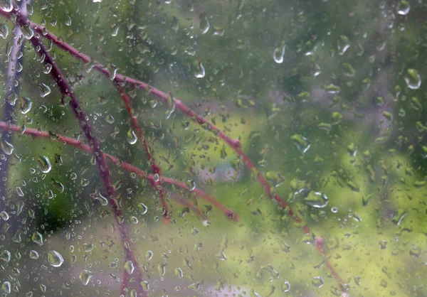 Gocce Pioggia Sulla Finestra Con Albero Verde Sullo Sfondo — Foto Stock