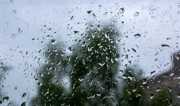 Chuva Cai Janela Com Árvore Verde Fundo — Fotografia de Stock