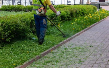 Adam çimleri benzin tırpanıyla biçiyor.
