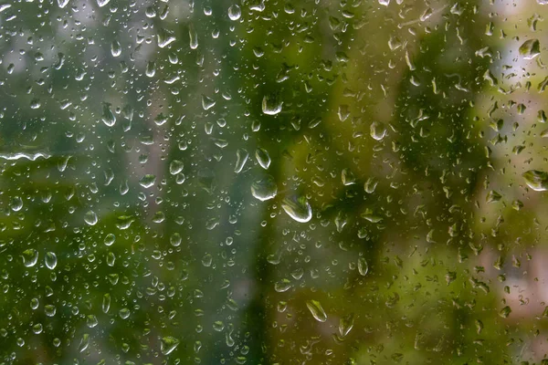 Chuva Cai Janela Com Árvore Verde Fundo — Fotografia de Stock