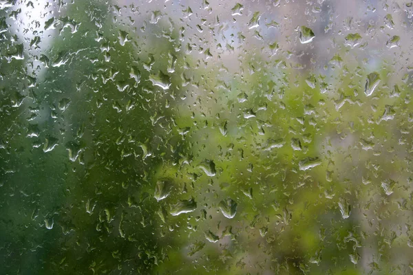 Rain drops on window with green tree in background