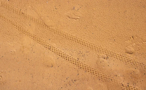 Bicycle Tire Tracks Wet Sand — Stock Photo, Image