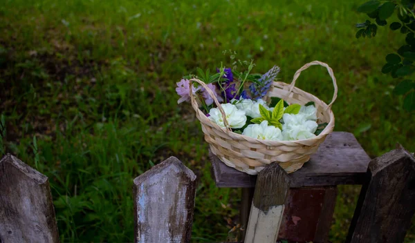 Virágok Egy Kosárban Egy Régi Kerítés Hátterében Zöld — Stock Fotó