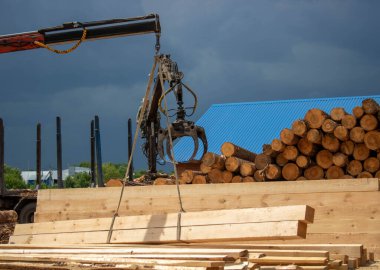 Ağaç kesme, kereste fabrikası. Tahta yükleme manipülatörü. Tahta ve kütük yükleyicisi fırtınalı bir gökyüzünün arka planına karşı çalışır.