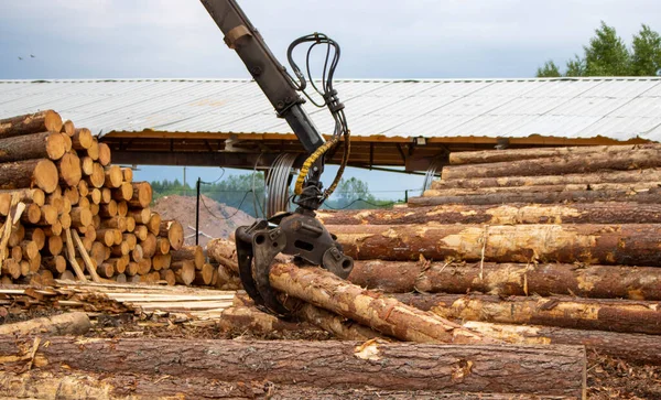 Troncos Aserradero Manipulador Para Cargar Madera Cargador Tablas Troncos Trabaja — Foto de Stock