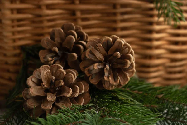 Christmas Decor Fir Branch Pine Cones Background Basket Space Your — Stock Photo, Image