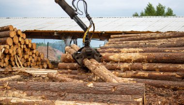 Ağaç kesme, kereste fabrikası. Tahta yükleme manipülatörü. Tahta ve kütük yükleyicisi fırtınalı bir gökyüzünün arka planına karşı çalışır.