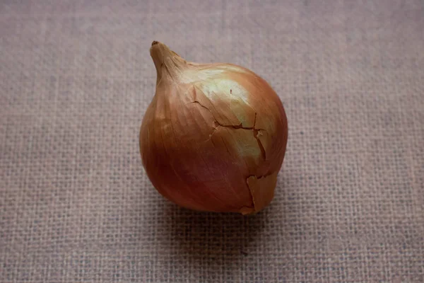 Una bombilla amarilla de cebolla fresca madura aislada sobre fondo marrón — Foto de Stock