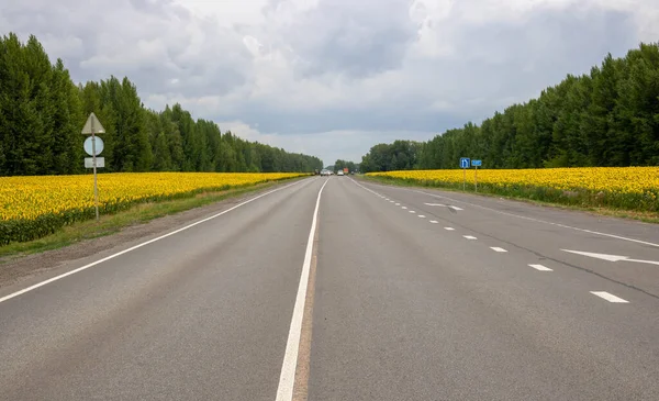 Paved Road Leading Sunflower Field Country Road Fields Many Yellow — Stock Photo, Image