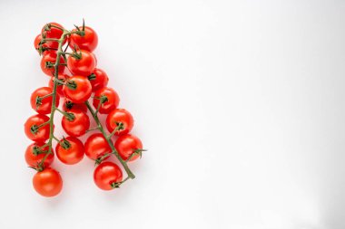 Beyaz bir arka planda izole edilmiş, dalda kiraz domatesleri. Yukarıdan manzara. Hasat konsepti. Metnin için boşluk.
