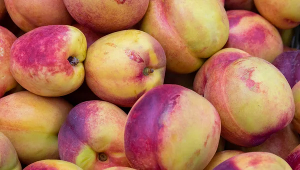 Güzel kokulu nektarin, üst manzara..