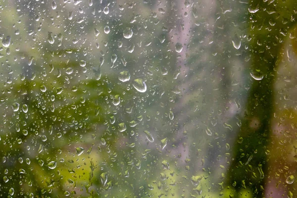 Chuva Cai Janela Com Árvore Verde Fundo — Fotografia de Stock