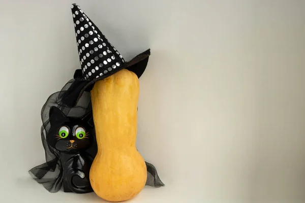 Fijne Halloween Een Zwart Kattenspeelgoed Verstopt Zich Achter Een Pompoen — Stockfoto