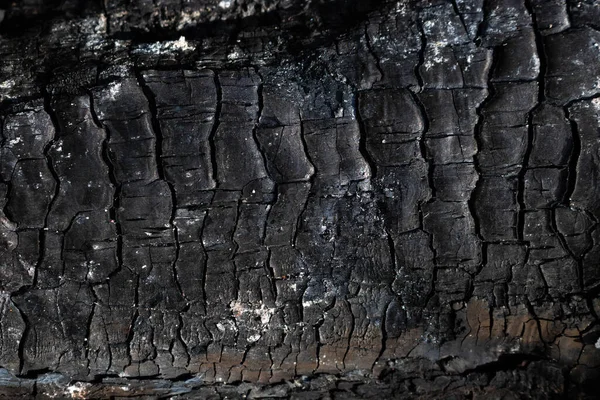 Textura Madera Quemada Carbón Vegetal Fondo Abstracto Madera Quemada — Foto de Stock