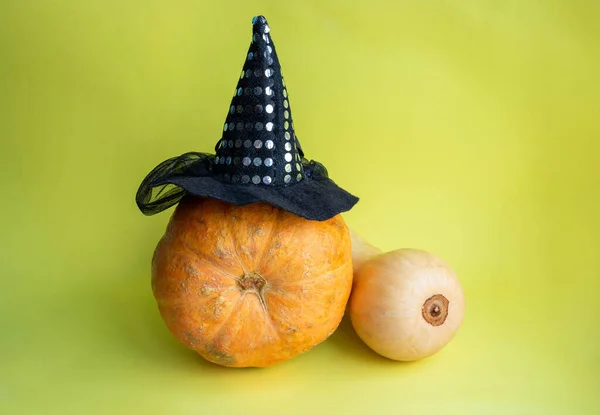 Concepto Halloween Una Calabaza Naranja Sombrero Bruja Una Larga Calabaza — Foto de Stock