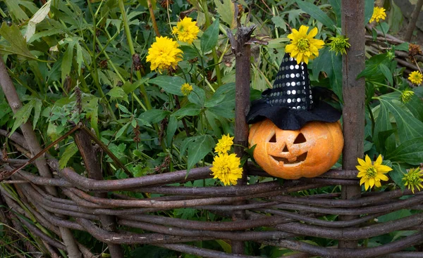 Cheerful Pumpkin Witch Hat Sitting Fence Yellow Flowers Concept Halloween — Stock Photo, Image