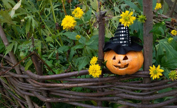 Una Calabaza Alegre Sombrero Una Bruja Está Sentada Una Cerca — Foto de Stock