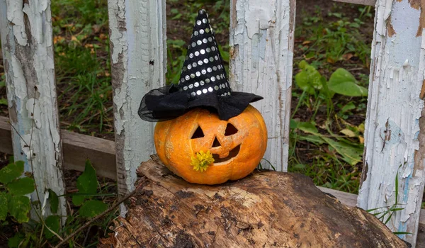 Cheerful Pumpkin Witch Hat Sitting Stump Fence Concept Halloween — стоковое фото