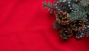 Kırmızı arka planda üç kozalak ve gümüş boncuklu mavi ladin dalları var. Yeni yıl ve Noel konsepti.