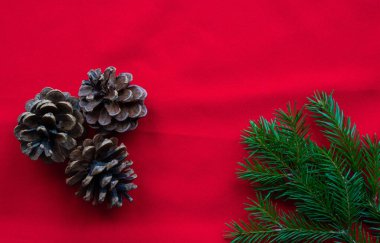 Kırmızı zemin üzerinde üç çam kozalağı ve yeşil köknar dalları bulunur. Yeni yıl ve Noel konsepti.