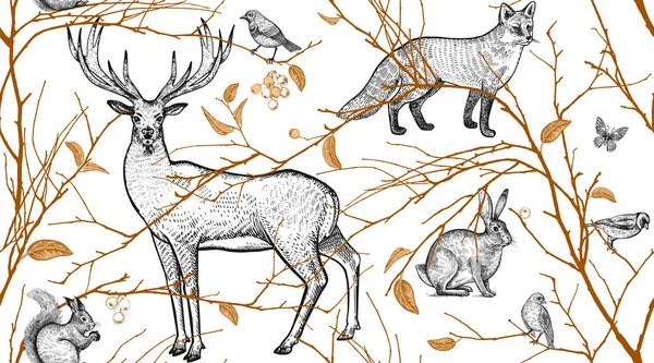 나뭇가지 조류와 패턴입니다 다람쥐입니다 일러스트 예술입니다 벽지에 스러운 디자인 화이트입니다 — 스톡 벡터