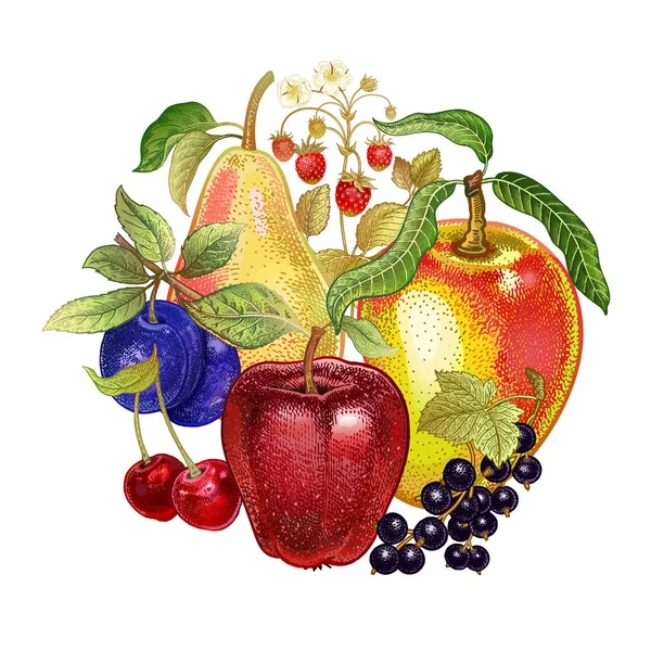 Realistische Obstdekoration Äpfel Kirschen Schwarze Johannisbeeren Birnen Pflaumen Erdbeeren Auf — Stockvektor