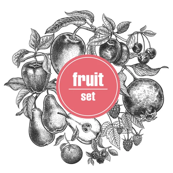 Plakat Mit Früchten Und Beeren Mango Apfel Birne Pflaume Granatapfel — Stockvektor