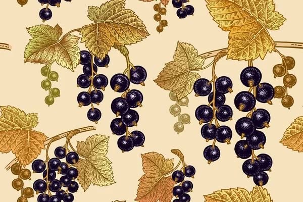 Black Currant Berries Seamless Pattern Realistic Fruit Branch Gold Leaf — Stock Vector