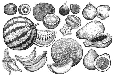 İzole meyve kümesi. Karpuz, kavun, kivi, Hindistan cevizi, papaya, pomelo, muz, ayva, incir ve carambola. Siyah ve beyaz. Vintage vektör çizim sanat. Gerçekçi el çizimi.